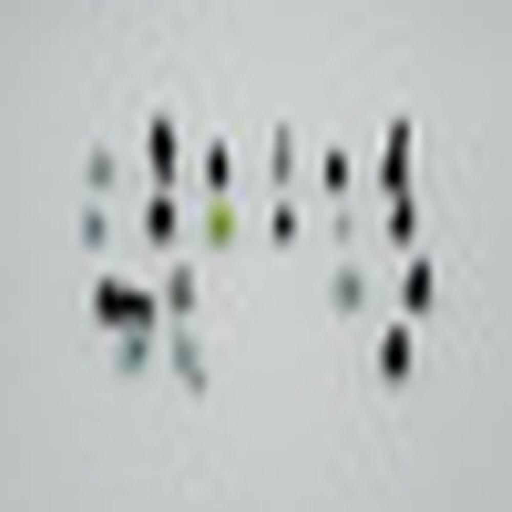 OEM Automotive sems special customizing fasteners bolt