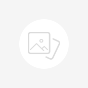 Single Tapered(Function)