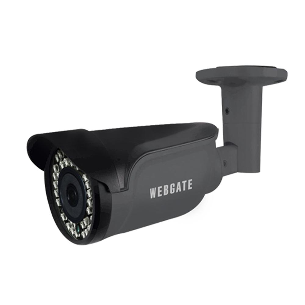 IP type Flame Detection Camera
